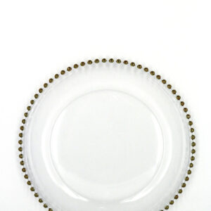 Alternative view of Charger Plate